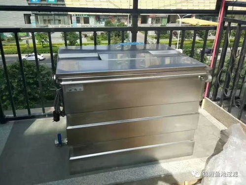 庭院魚池水清魚靚的秘密,選對過濾系統功不可沒