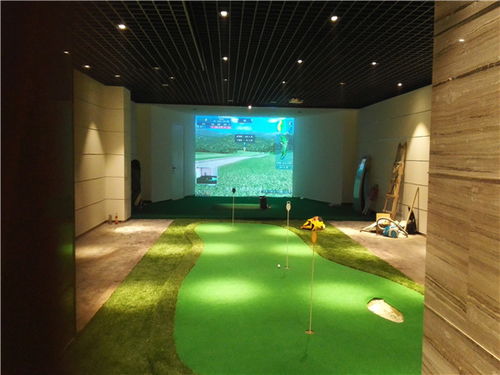專業(yè)室內高爾夫模擬器