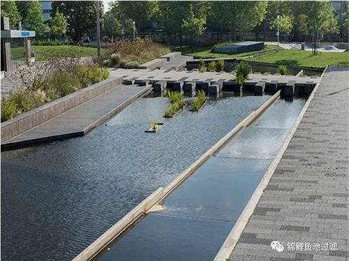 奧利仕大型魚(yú)池過(guò)濾器 奧利仕 在線咨詢 內(nèi)蒙古魚(yú)池過(guò)濾器