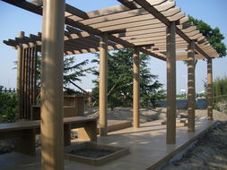 廣州同欣 木塑型材賦能康體設(shè)備，引領(lǐng)綠色運(yùn)動(dòng)新潮流