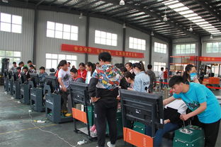 徐州經(jīng)貿(mào)高職舉辦第二屆職教活動(dòng)周暨校園開放日，展現(xiàn)職教新風(fēng)貌